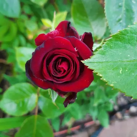 Ferienwohnung Nauen Apartamento *